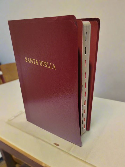 BIBLIA RVR1960 "Letra GIGANTE"