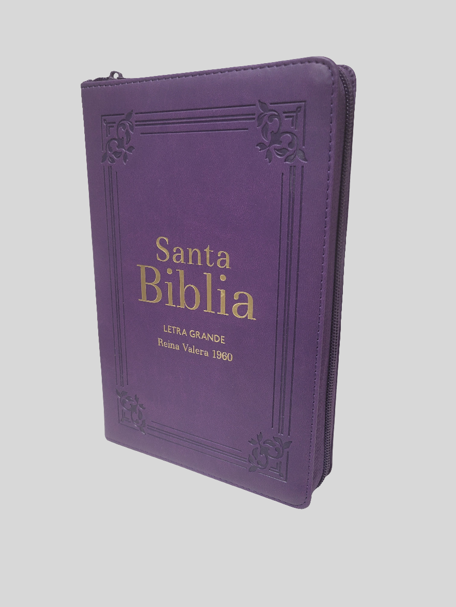 BIBLIA RVR1960