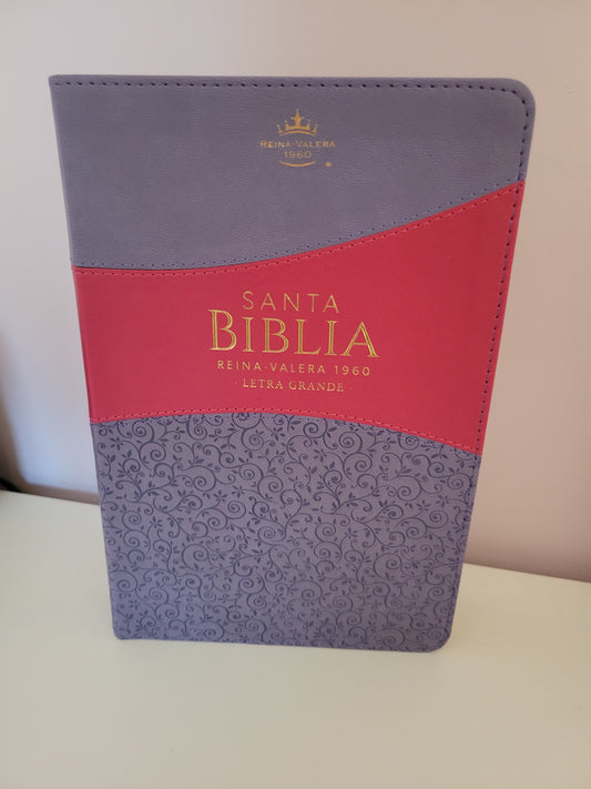 BIBLIA RVR1960