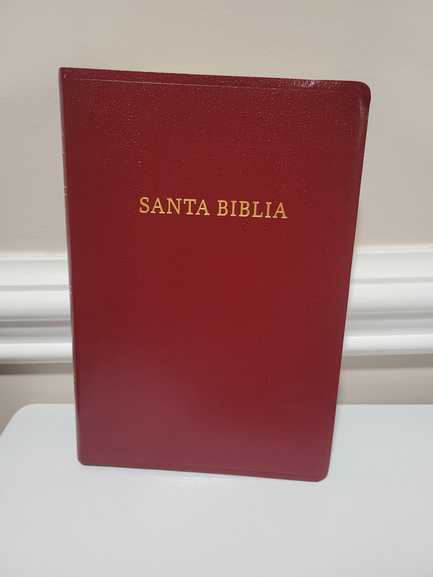 BIBLIA RVR1960 "Letra GIGANTE"