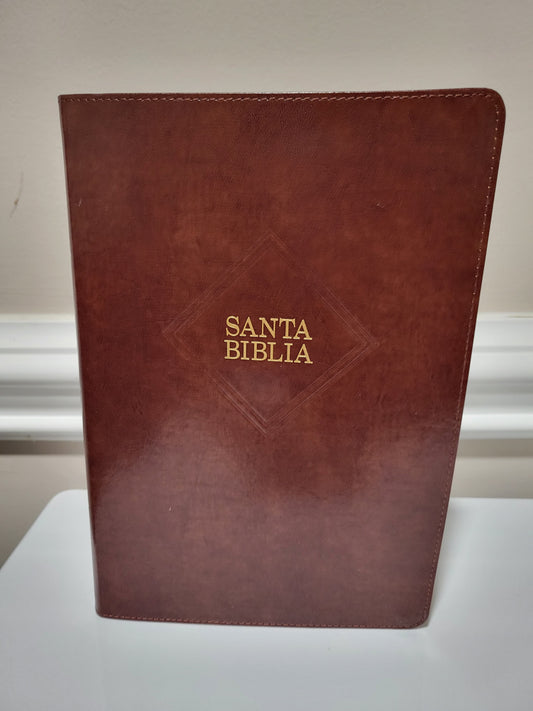 BIBLIA RVR1960 "Letra GIGANTE"