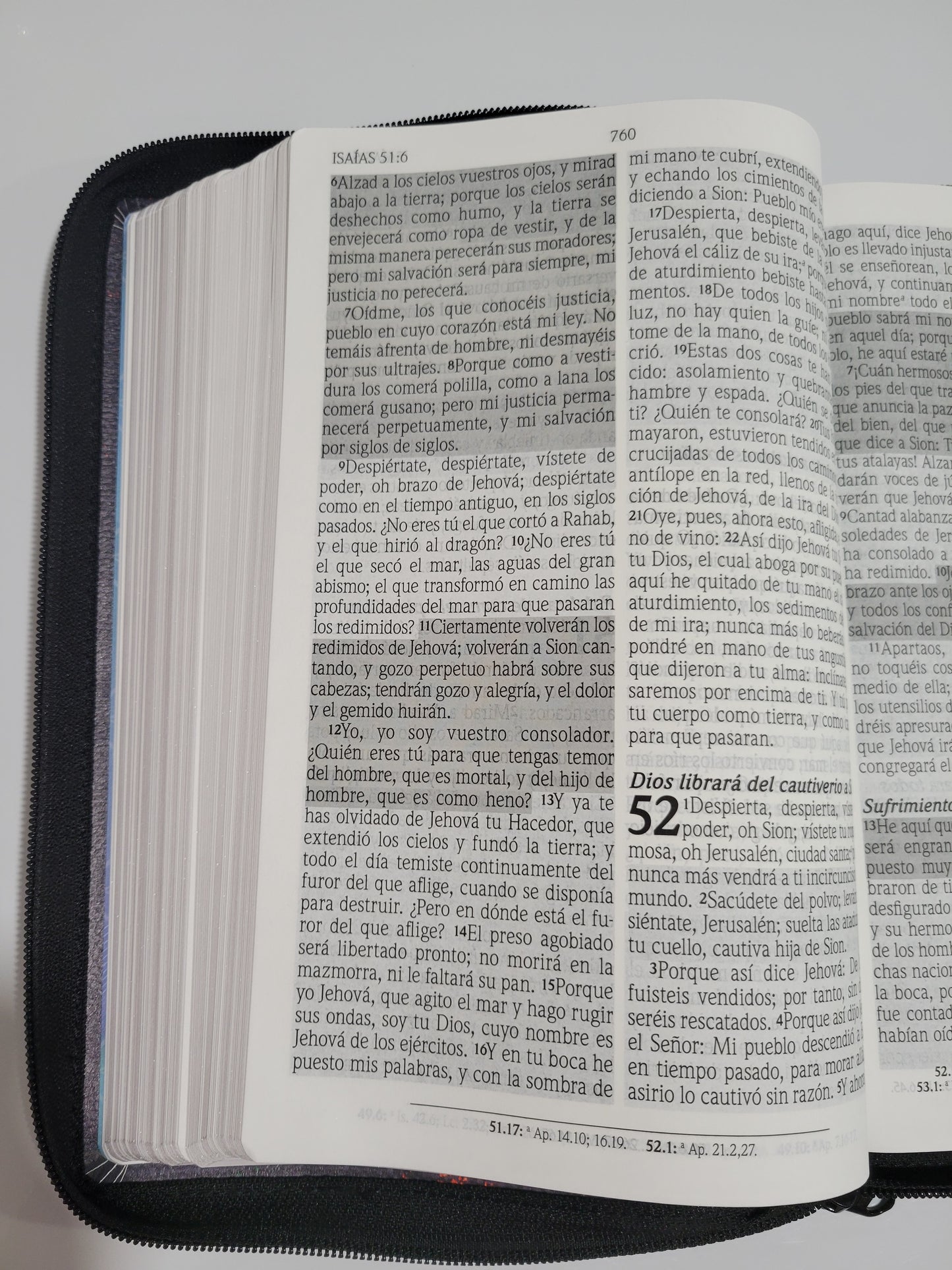 BIBLIA RVR1960 "Letra GIGANTE"