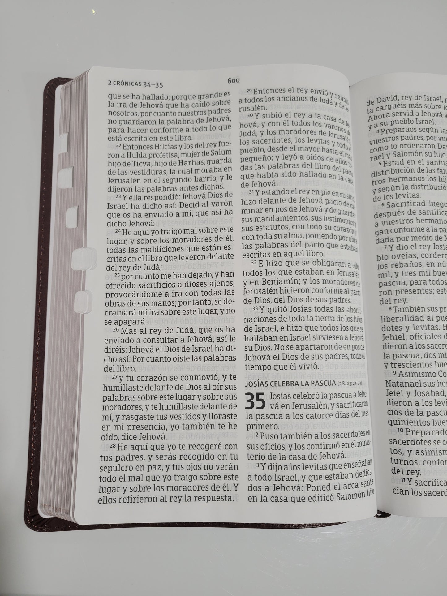 BIBLIA RVR1960 "Letra supergigante"