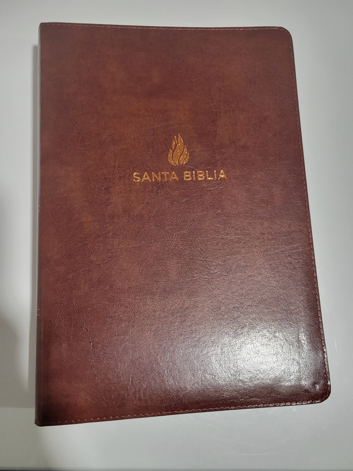 BIBLIA RVR1960 "Letra supergigante"