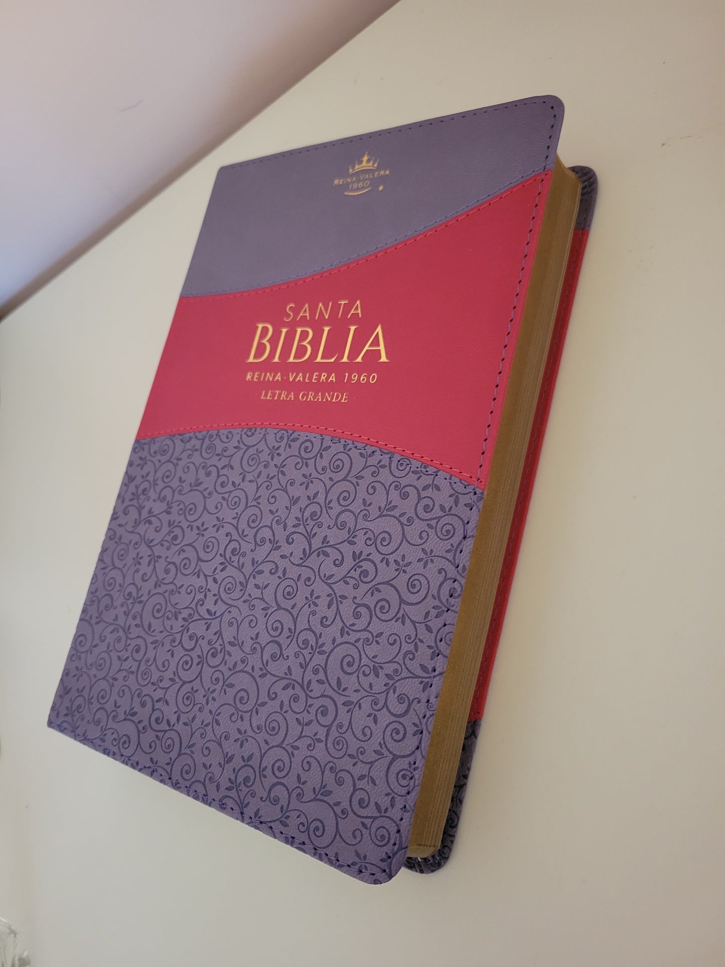 BIBLIA RVR1960