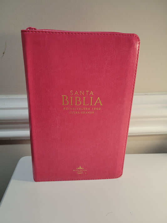 BIBLIA RVR1960