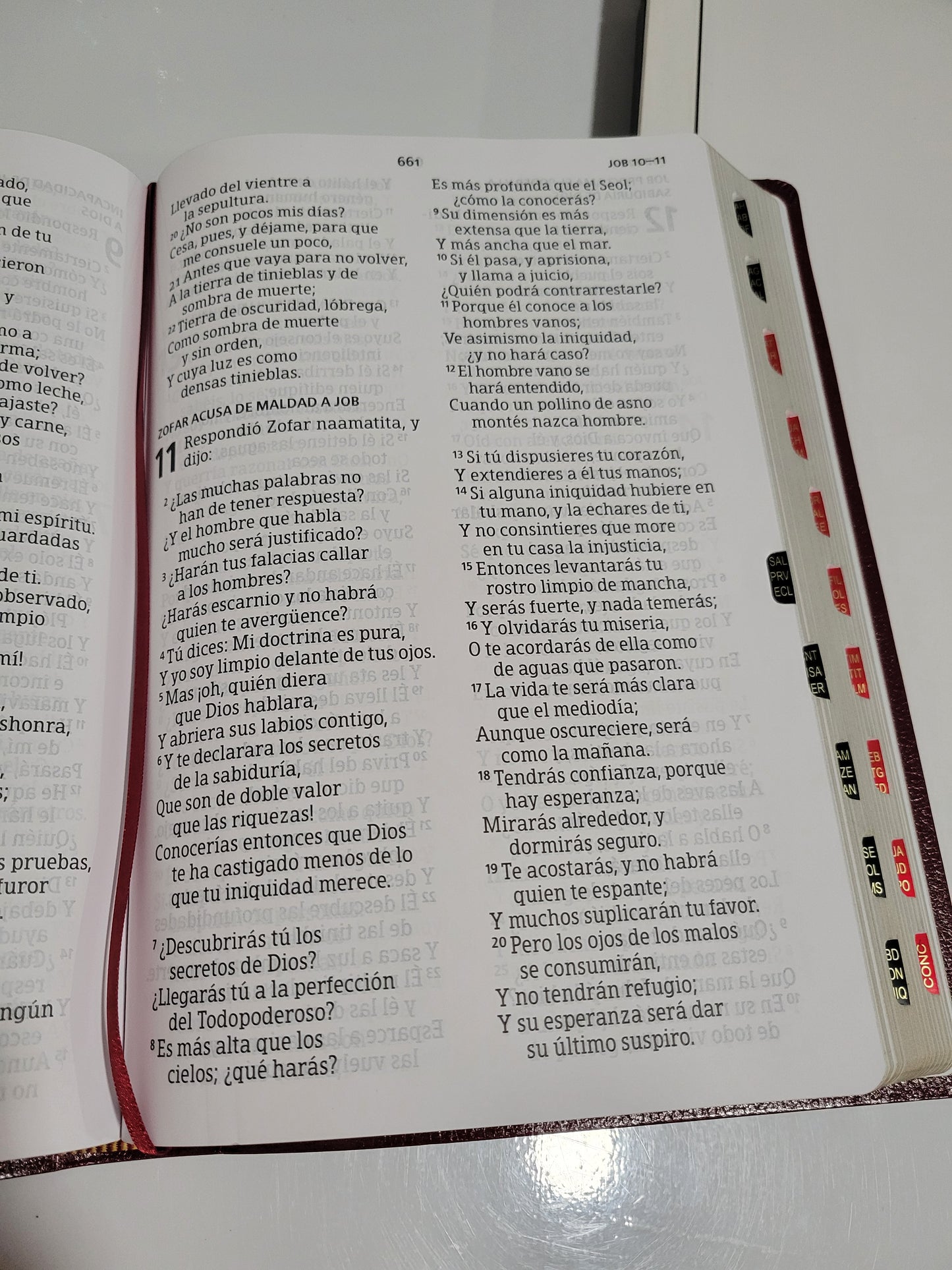 BIBLIA RVR1960 "Letra GIGANTE"