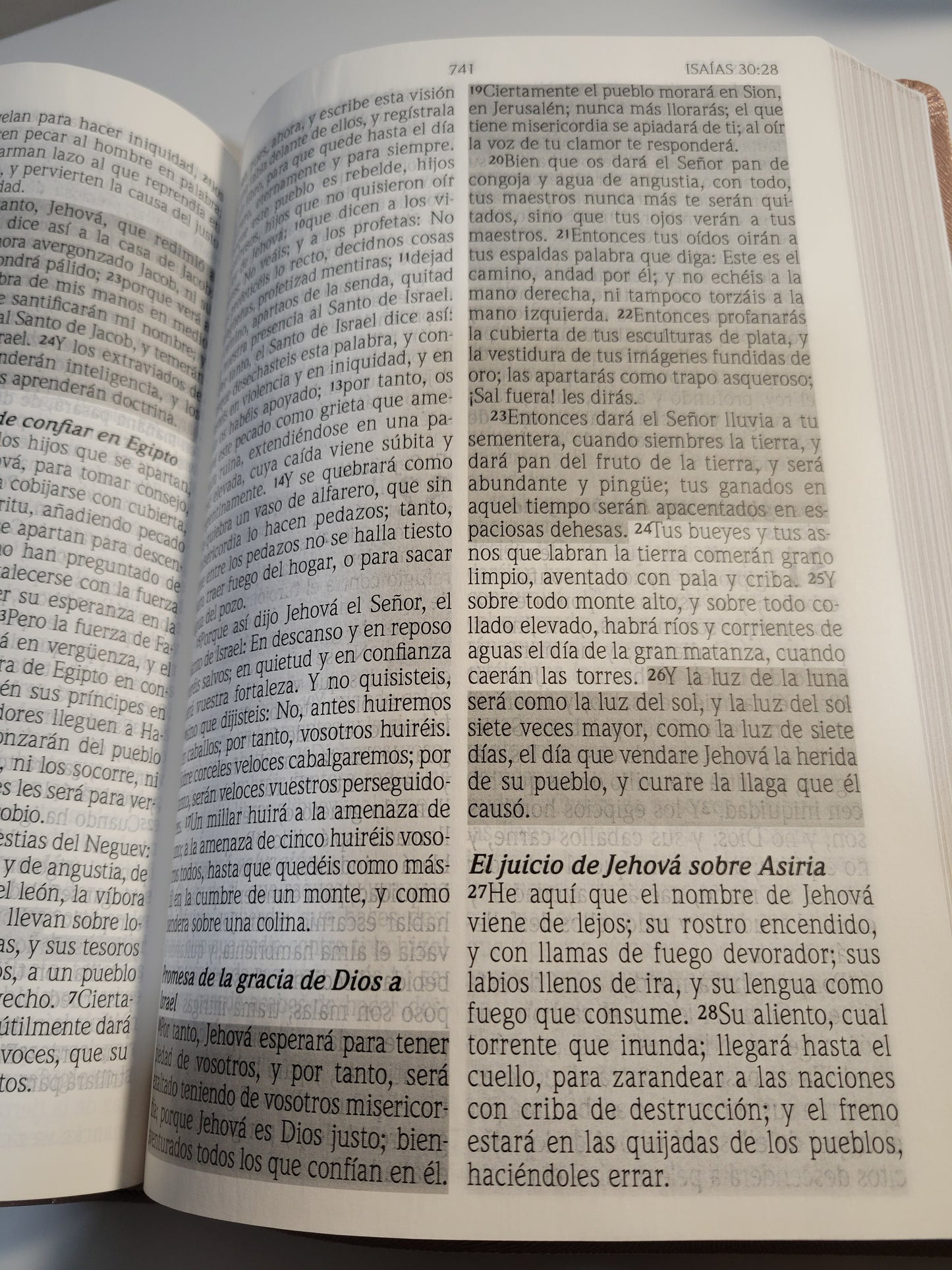 BIBLIA RVR1960 "Letra GIGANTE"